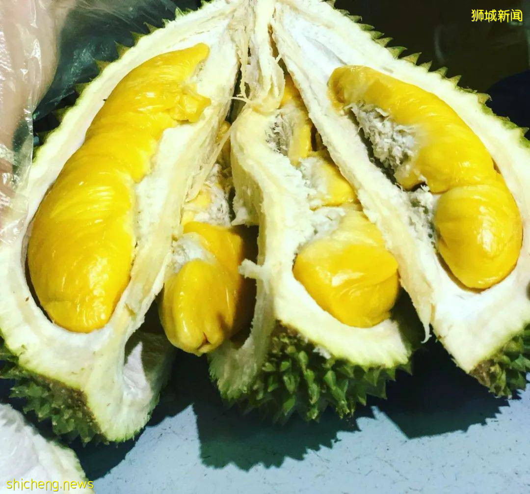 狮城榴梿季拉开序幕!该去哪里组个榴梿局呢