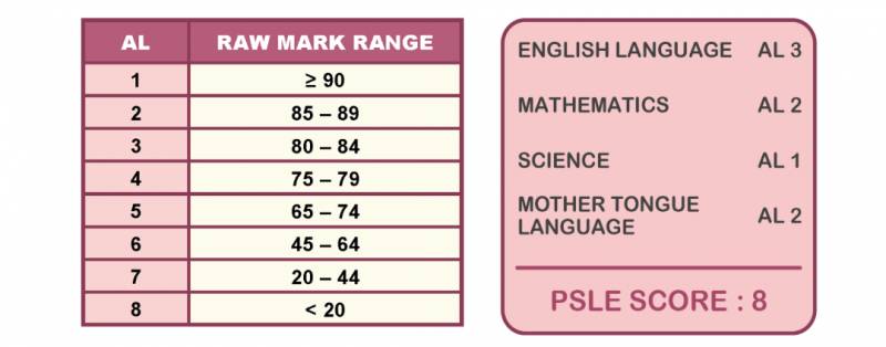 明年PSLE改革第一年！新加坡名师解读新制度不能错过