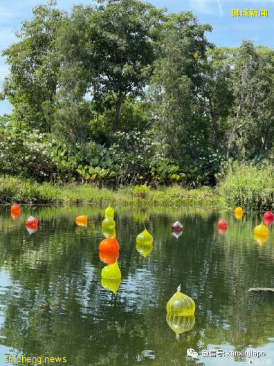 视觉冲击力超强,巨型玻璃雕塑“攻占”新加坡滨海湾