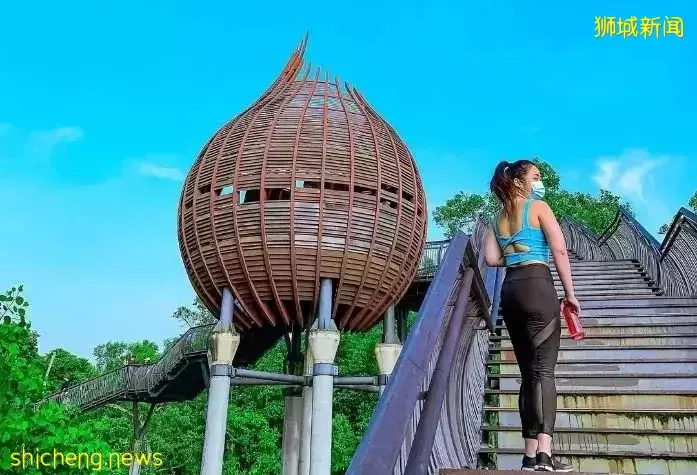 帶娃逛遍新加坡的森林和水庫，9條適合兒童徒步的路線