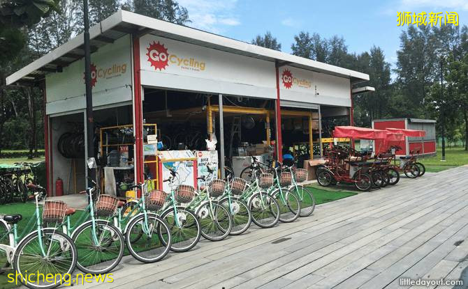 騎行必看！新加坡全島自行車租賃指南，低至$5/天