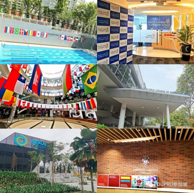 留学新加坡|国际学校如何选