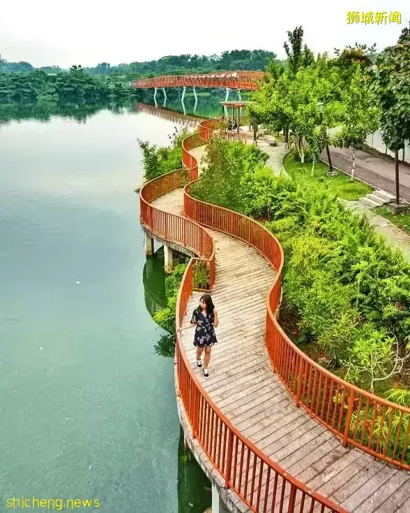 帶娃逛遍新加坡的森林和水庫，9條適合兒童徒步的路線