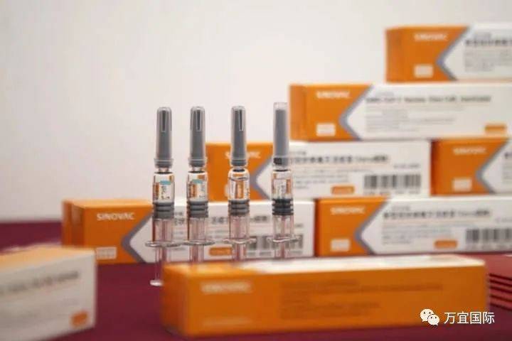 新加坡可以买疫苗啦!价格只要600块人民币