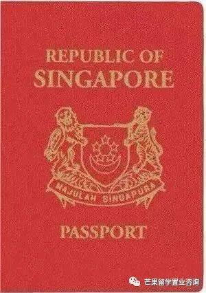 新加坡都有哪些准证