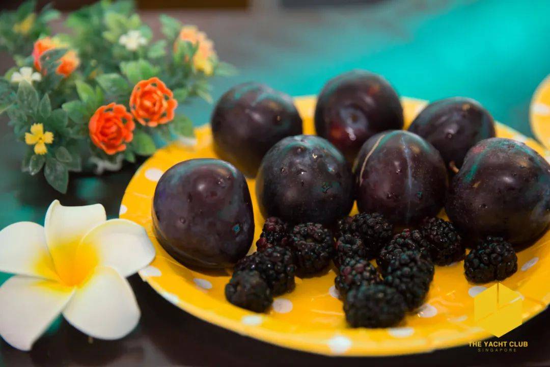 出國旅遊遙遙無期!我終于找到逃離新加坡的最佳方式