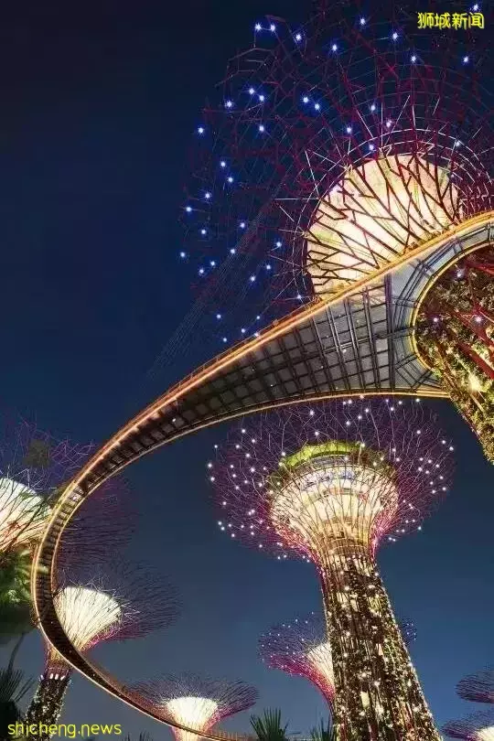 新加坡 放慢腳步，體驗獅城百態