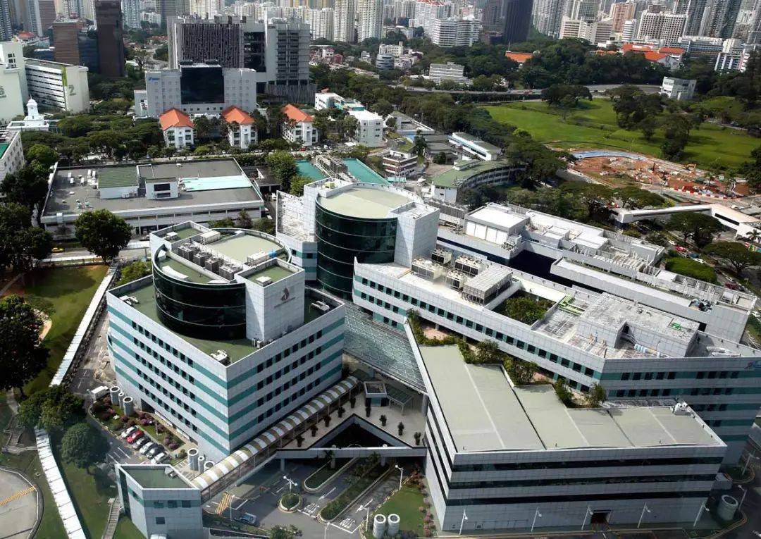 部長曝新隆高鐵取消內幕!新加坡每25套房子中,就有一套是中國制造