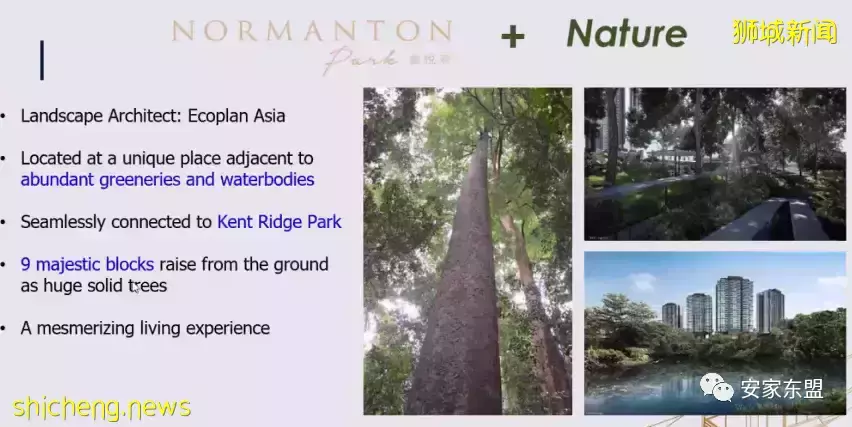 鑫悅府Normanton Park一年賣了88%，還剩224間，3月5日又將起價，手慢無