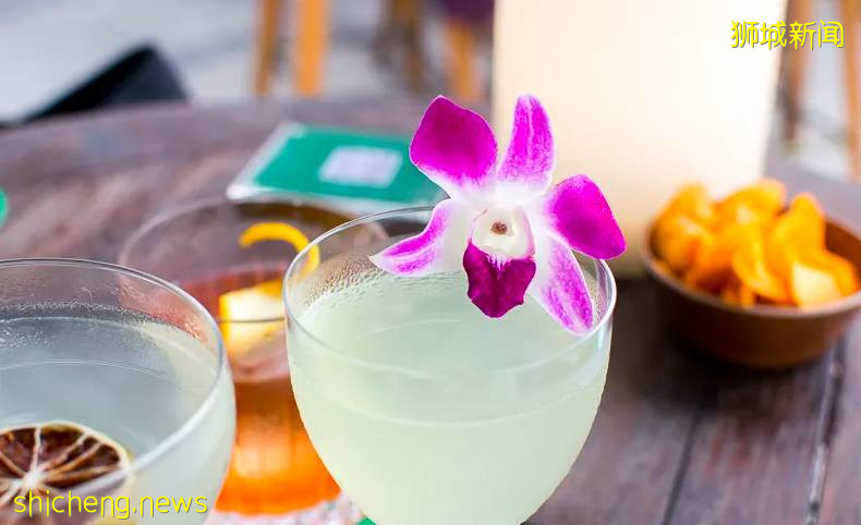 坡島9月活動速遞!冰激淩博物館!Epigram快閃書店!美食節回歸,一起嘗遍本地美食