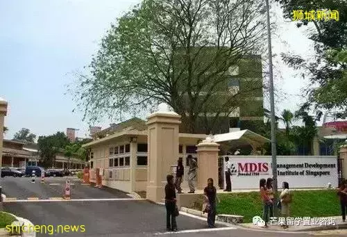 中考后留学新加坡读哪些课程，MDIS 预科学院给你答案