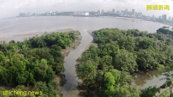 新加坡双溪布洛自然公园步道规划出炉!一起来看看吧