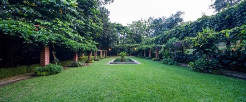 新加坡不为人知的一面