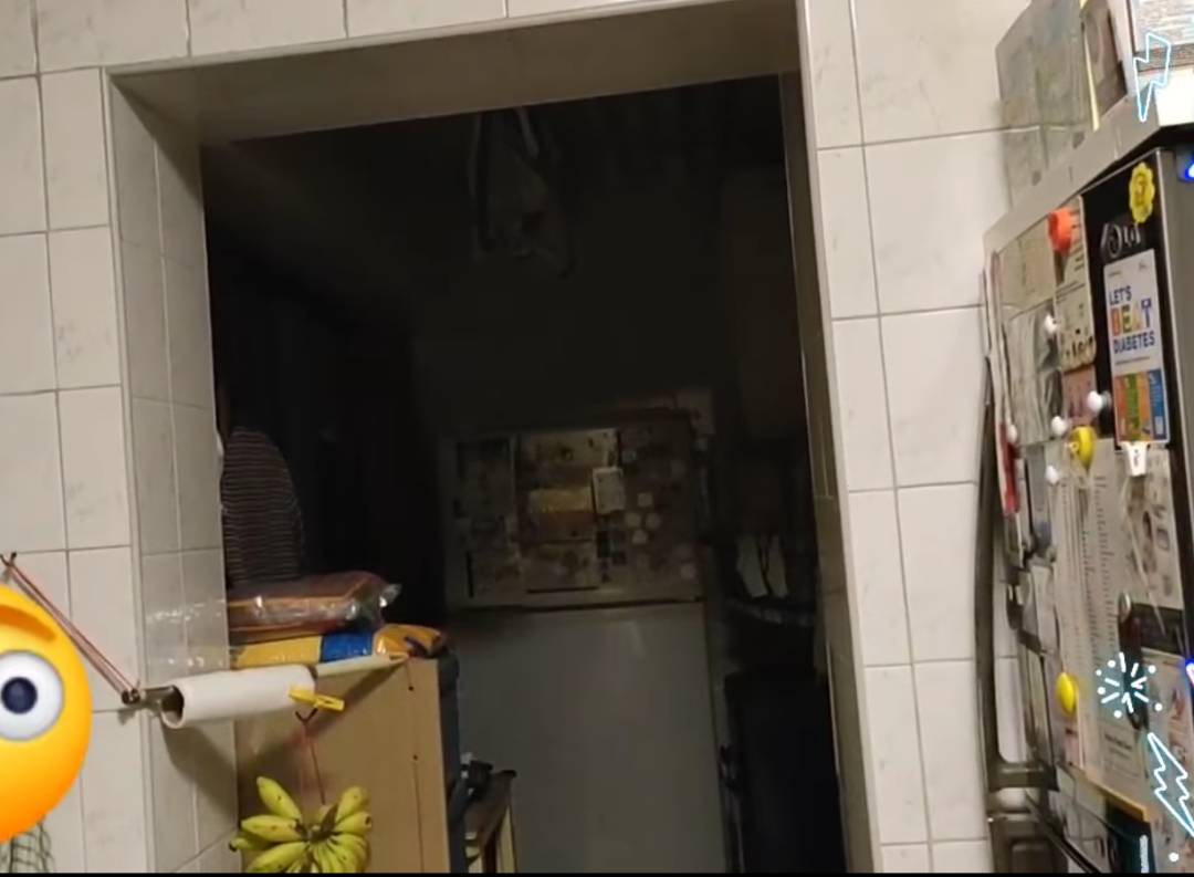 “救命！我在新加坡厨房里挂了一串香蕉，引来一群蝙蝠！”