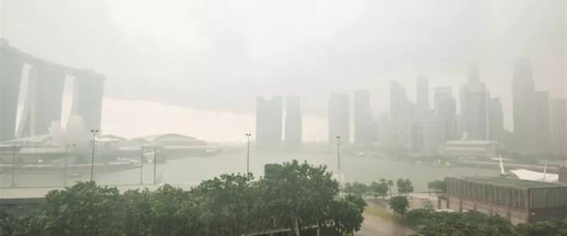 听说狮城这家新开业餐厅里的鸡，居然是吃凤梨长大的