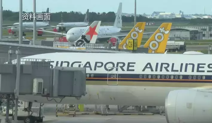 彭博社：新加坡防疫措施混亂！看衛生部如何強勢回應