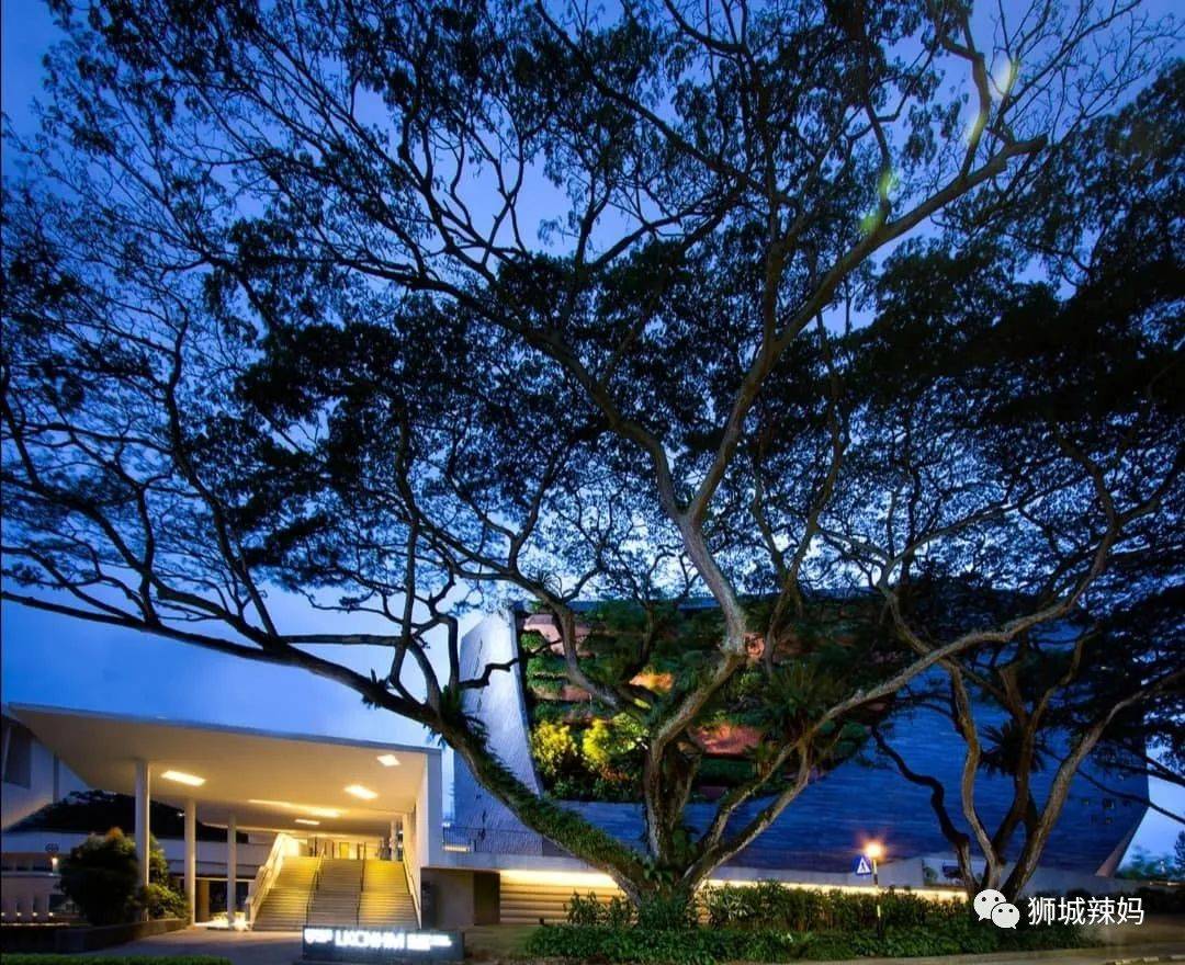 恐龍化石、抹香鯨骨架、初代巨星阿明……100W+動植物標本竟然藏在新加坡這個地方