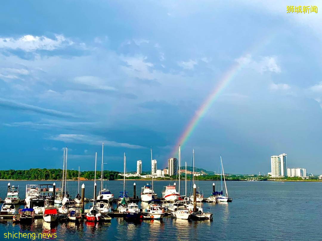 刷屏！黑雲壓城、電閃雷鳴...大雨前的新加坡超有“大片感”