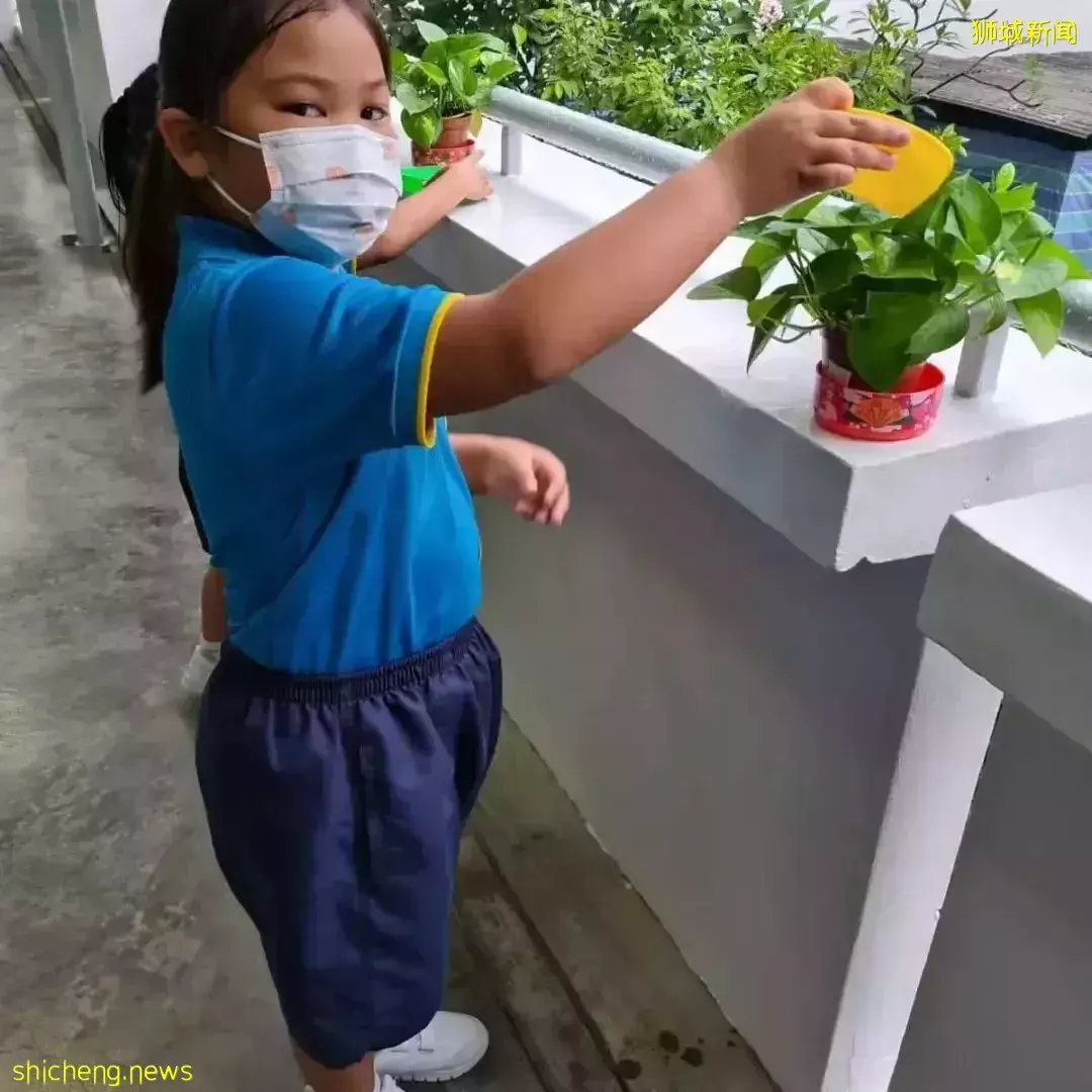 中国小朋友最害怕的事,新加坡的娃们竟然特别期待