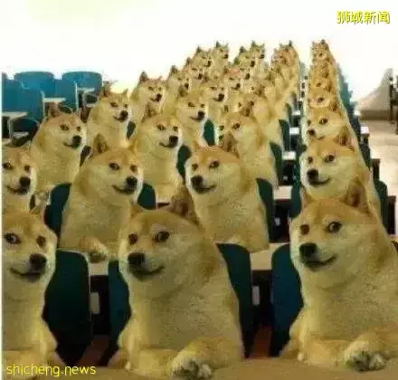 大型社死現場!我在新加坡相親,竟然遇到了中學老師