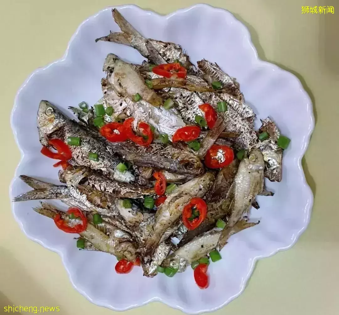 新加坡这个地方好神奇,新手钓鱼也能满载而归