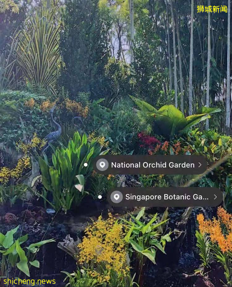 玩在獅城 盤點全島這15個免費景點，讓你玩的省錢又開心