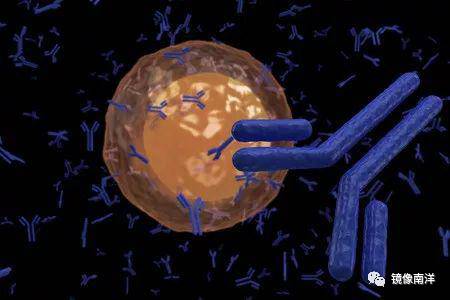 《自然》深度報道：全球新冠死亡率正在下降 原因是什麽