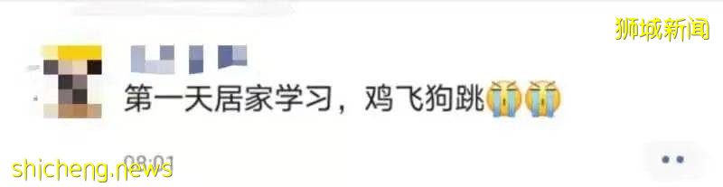 新加坡“神兽”们居家学习第一天!家长们晕了懵了乱了炸了