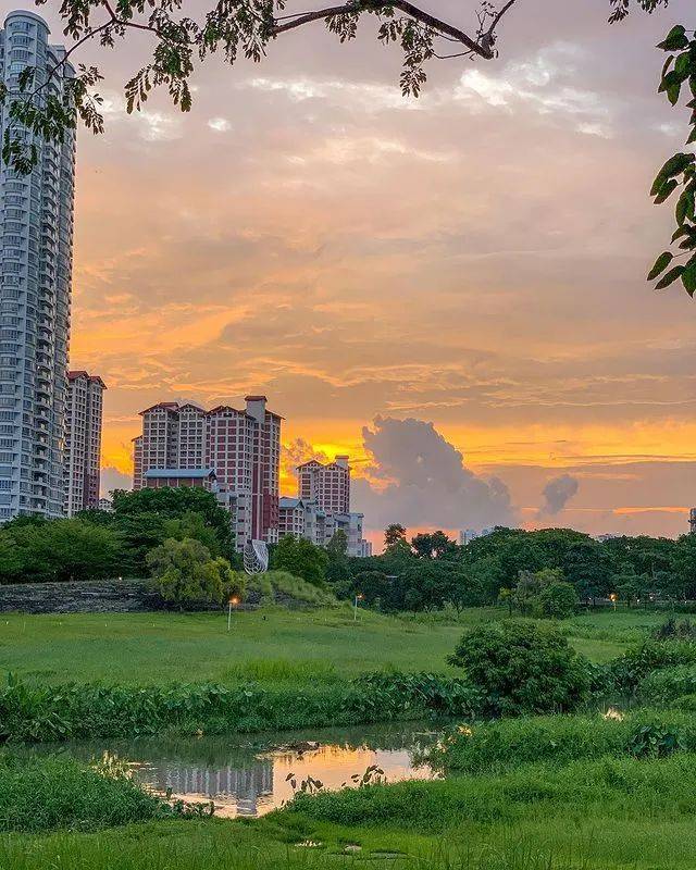 獅城出片率最高的野餐地，收藏起來！給你新加坡式陽光與慵懶