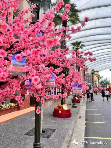 新加坡春节不出门，到这儿就是“出国”啦