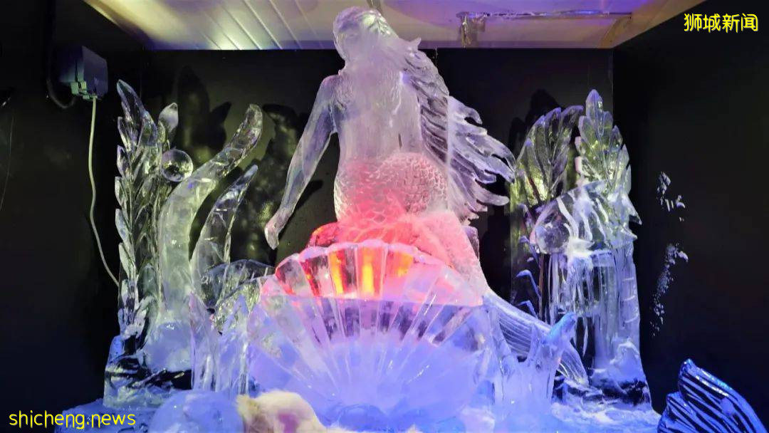 本周折扣!夜间动物园6折、特仑苏买1送1、玩具展销、浪漫冰雕展