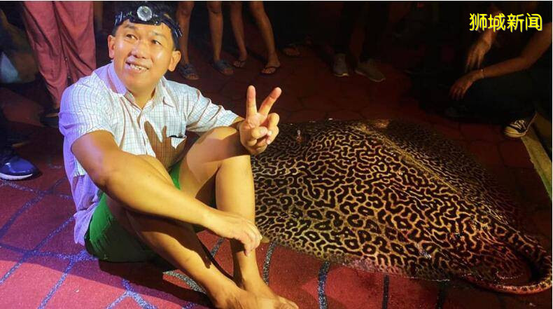 这位新加坡大叔有点皮,钓上80公斤魔鬼鱼坐地当网红