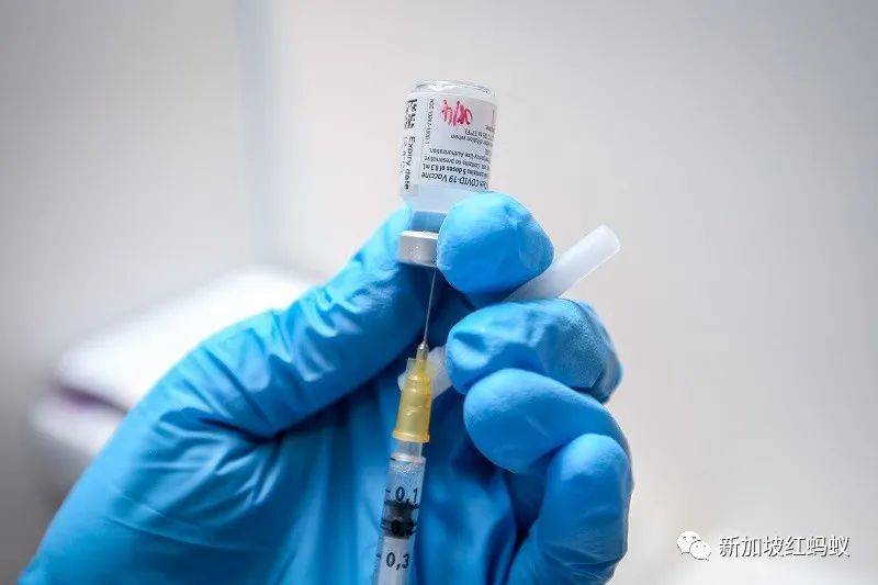 新加坡“封城”一周年,我們都學到了什麽