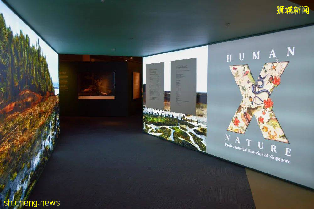 【周末幹啥】宅家也能吃喝玩樂，1元薯條、外賣買1送1、超美徒步路線