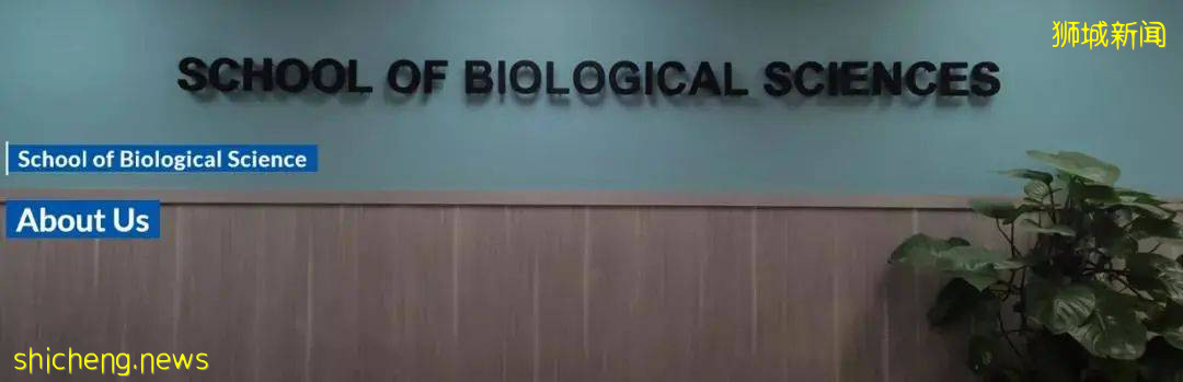 新加坡留學 南洋理工大學理學院2022年fall申請信息彙總 .