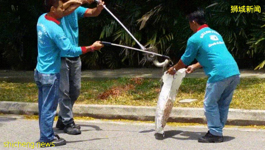 《神奇動物在哪裏之 NTU 篇》