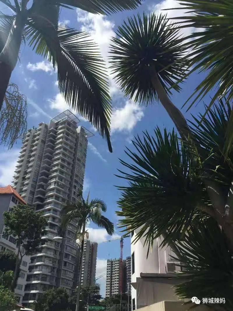 来新加坡13年！7次申请PR被拒！试遍所有“秘诀”，直到