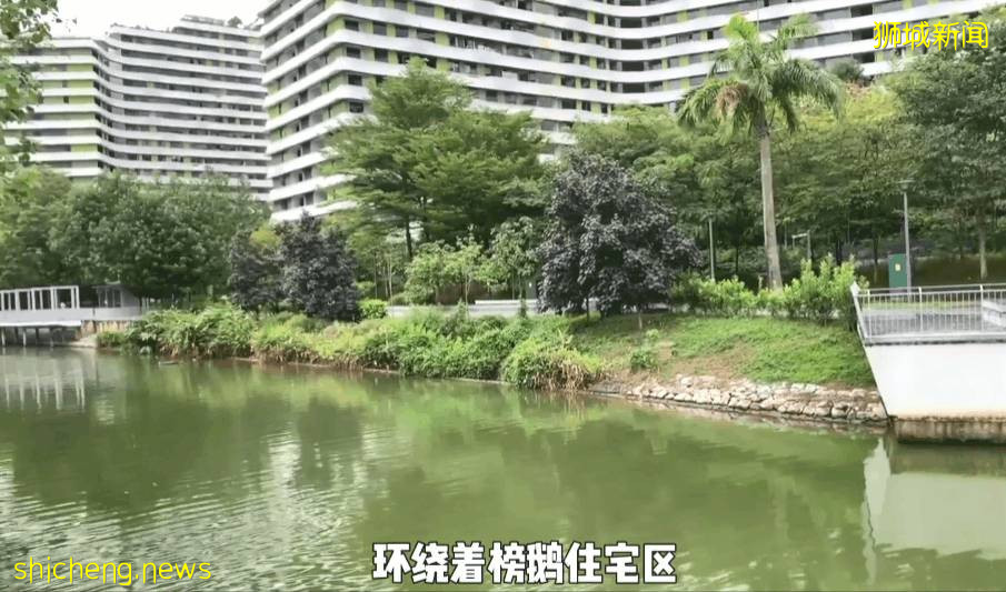 疫情不再宅家!新加坡10个超美户外蓄水池走起~人少风景好