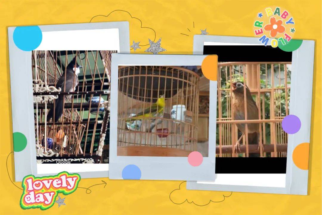 新加坡遛娃新地點~你絕對沒聽過的免費“動物音樂會”，孩子一定喜歡