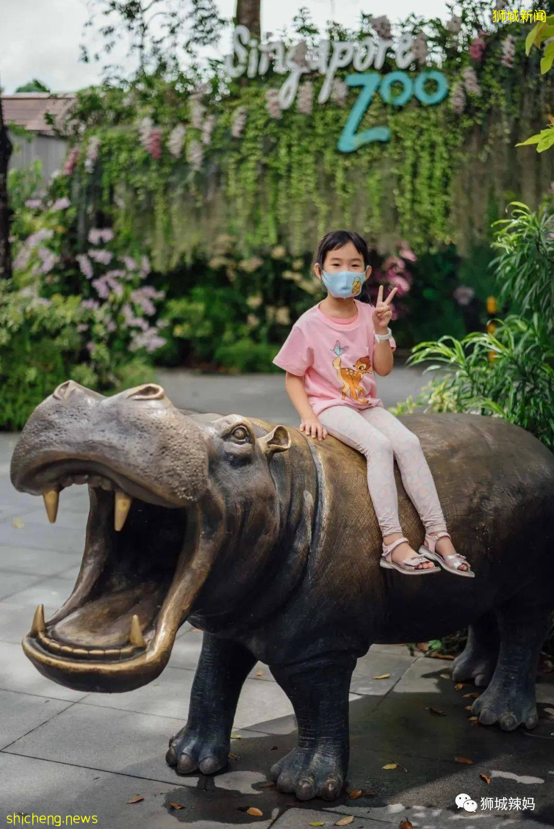 僅2天！新加坡動物園最牛的餵動物之旅，8折！還有幻光雨林和4大園5.5折起，搶啦