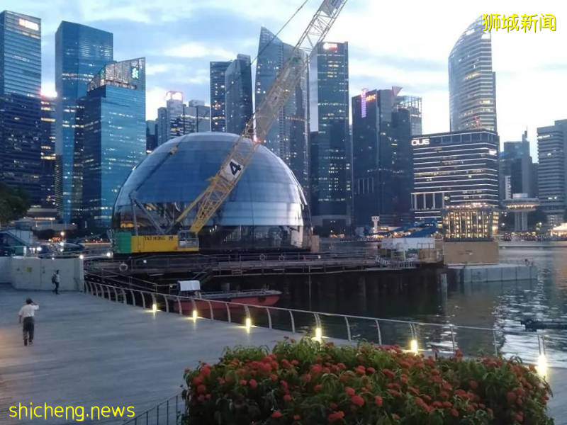 搶先看!新加坡第三家蘋果店竟開在水上!外形酷炫已刷屏