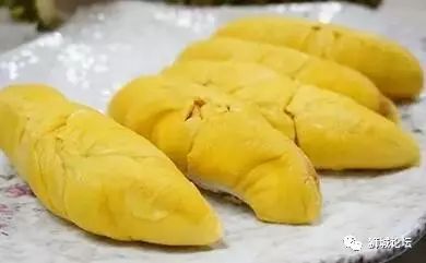 新加坡榴莲又双叒上头条~居然吃出“嘎嘣脆”，恶心到不行~