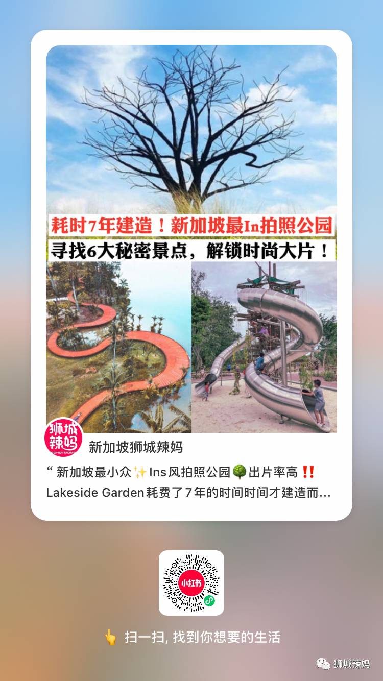 不用錢的玩法！打卡新加坡Ins網紅公園、特色遊樂場、免費看中醫