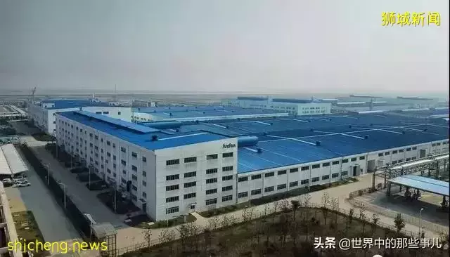 金龍魚、凱德集團竟然是新加坡公司?新加坡還有哪些産品在中國