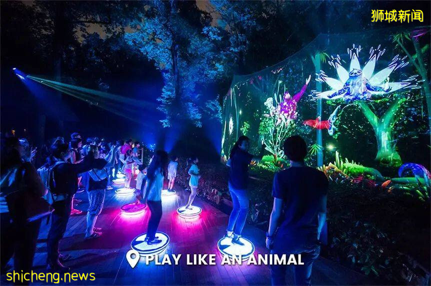 低至S$8！就3天！新加坡動物園“幻光雨林之夜”強勢回歸，亞洲第一夜遊體驗