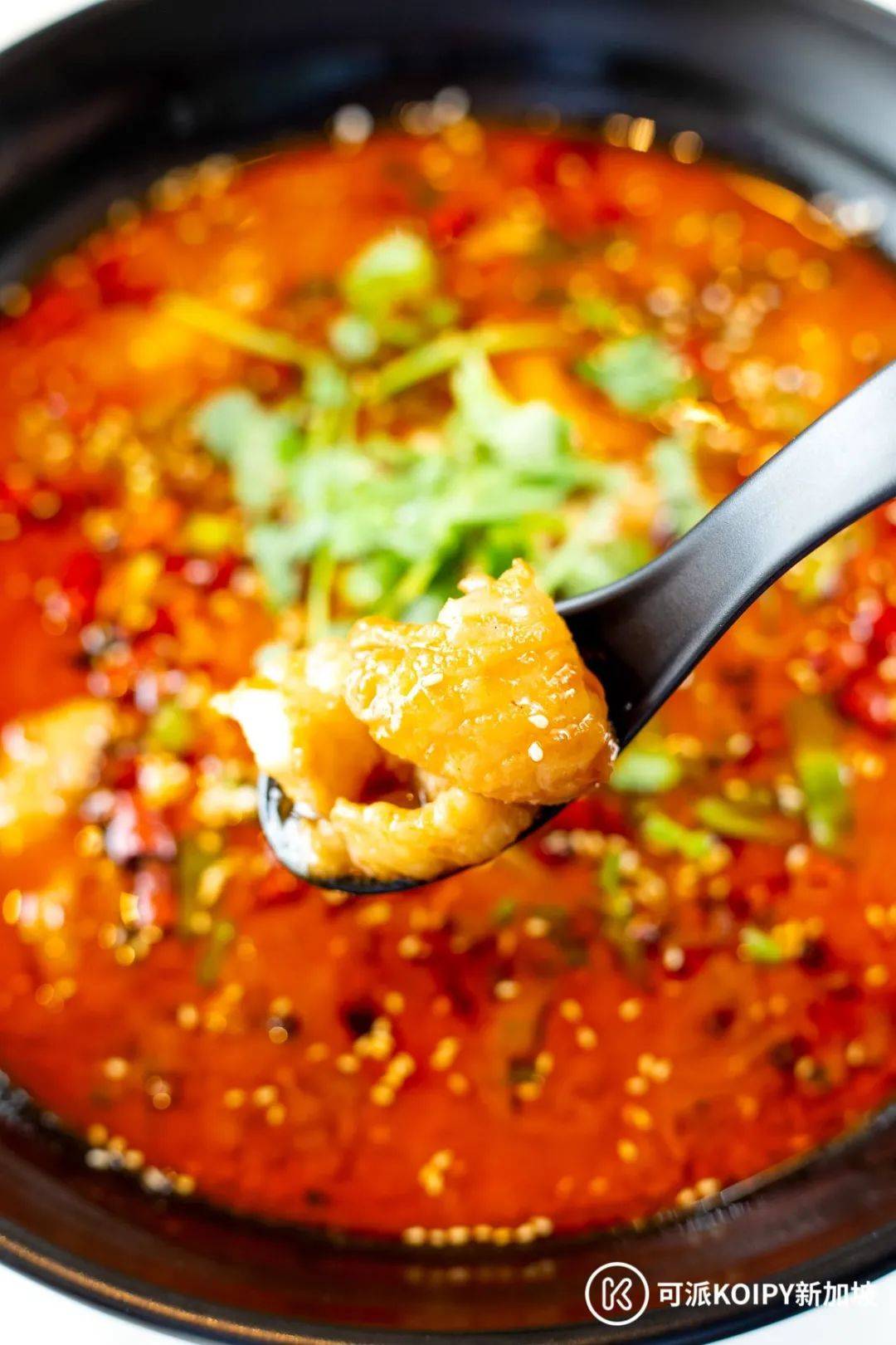 人均$20不到的火鍋+炒菜自助!任點任吃,吃到扶牆出