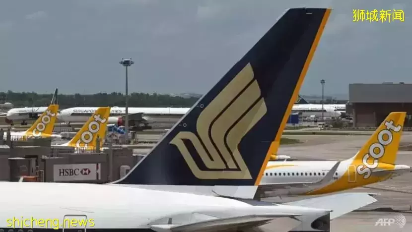 新加坡边境宣布即将开放，机票咨询和预定激增