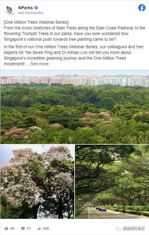 北半球9月刚入秋,新加坡却迎来“第二春”