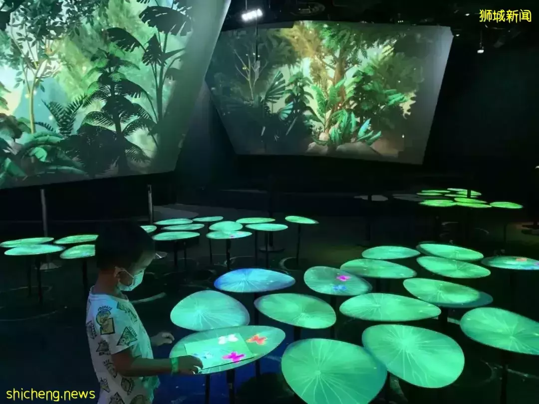 橫跨全島,我娃也要到這裏來玩,這個新加坡最佳遛娃地到底有什麽魅力