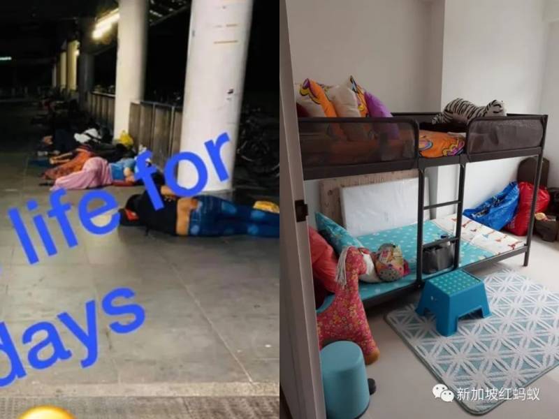 被迫睡地铁站的马国客工已被安顿在体育馆　新加坡人纷纷伸出援手